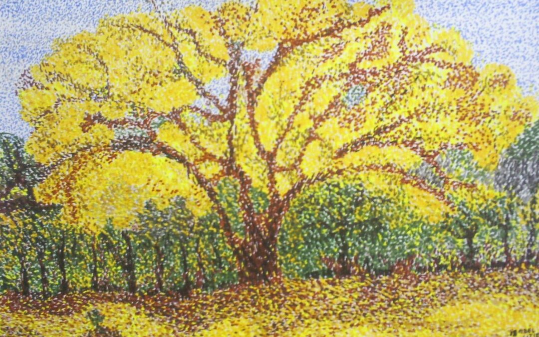 SEM CONVENÇÕES, SÓ CORAÇÃO – EU ESCOLHO CONFIAR NA VIDA