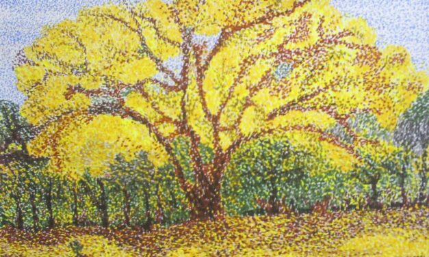 SEM CONVENÇÕES, SÓ CORAÇÃO – EU ESCOLHO CONFIAR NA VIDA